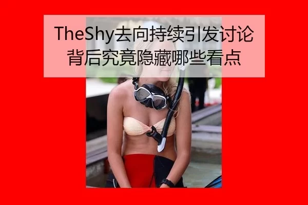 TheShy去向持续引发讨论 背后究竟隐藏哪些看点